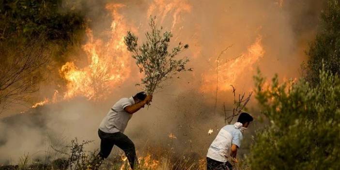 Yangından etkilenen yerler afet bölgesi ilan edildi