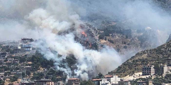 Hatay'da orman yangını