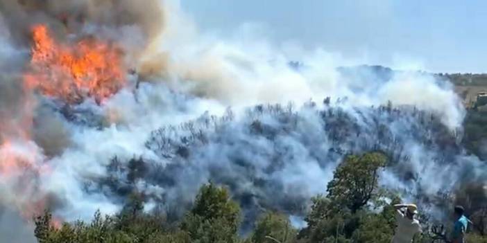 Muğla’daki yangınlarla ilgili 6 kişi tutuklandı