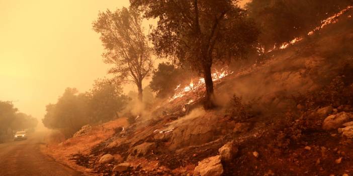 Bodrum Belediyesi yangın yerinde: Mücadele sürüyor