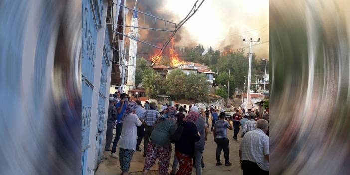 Aydın'daki yangın, Muğla'ya ulaştı