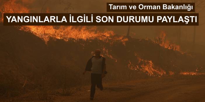 Tarım ve Orman Bakanlığı: 6 ilde 11 yangın devam ediyor