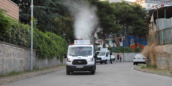 Kartal’da her gün 7 mahalle, sivrisinek ve haşerelere karşı ilaçlanıyor