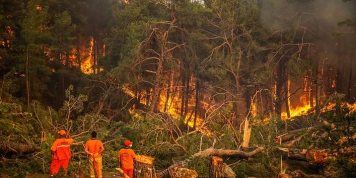 Rapor ortaya çıktı: Manavgat için 6 yıl önce uyarı yapılmış