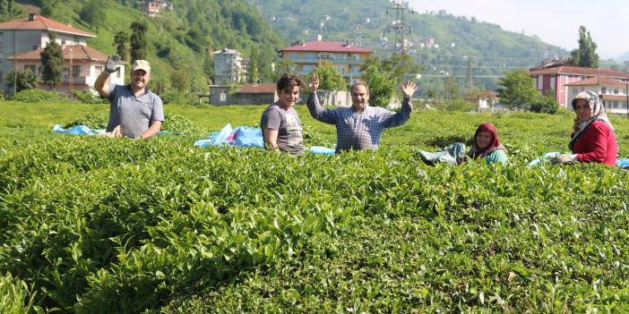 Karadeniz’de çay ve fındık göçüyle vakalar yüzde 400 arttı