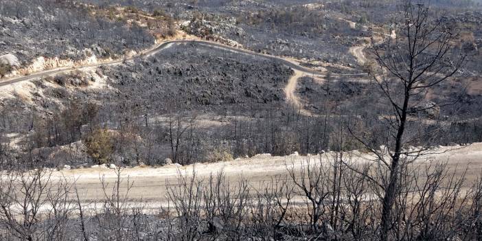 Antalya'daki yangınlarda soğutma çalışmaları devam ediyor: Orman ve toprak aynı renk oldu