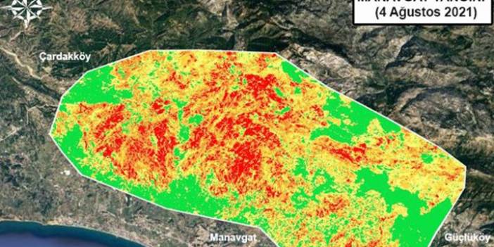 Yangınların etkili olduğu alanlar haritalandırıldı