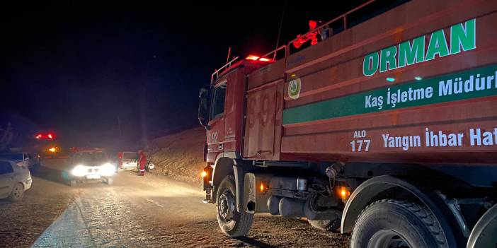 Kaş'ta beş ayrı noktada çıkan orman yangınları söndürüldü