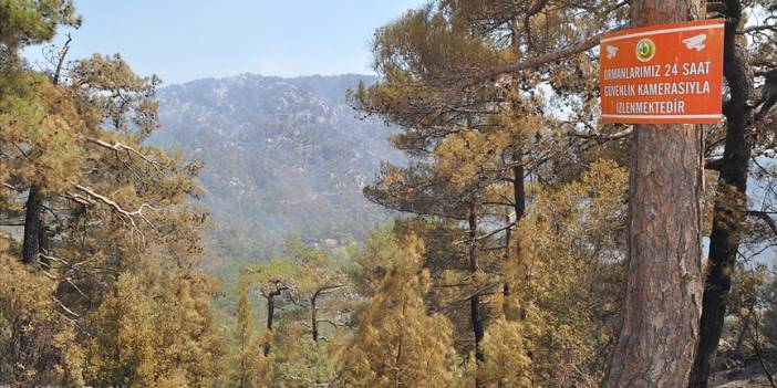 Muğla'da orman çevrelerinde mola vermek yasaklandı