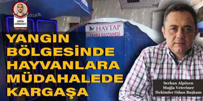 Yangın bölgesinde hayvanlara müdahalede kargaşa