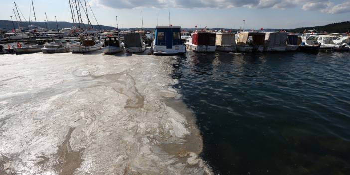 Marmara'da yeni tehlike: Koloniyal müsilaj