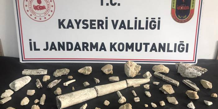 Kayseri'de fildişi fosili ele geçirildi