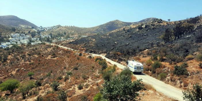 Bodrum'da 20 hektarlık makilik alan kül oldu