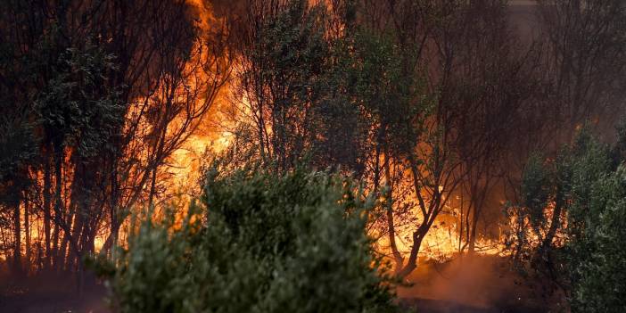 İYİ Partili Okutan: Yangınların bir türlü söndürülememesinin sebebi devlet buhranıdır