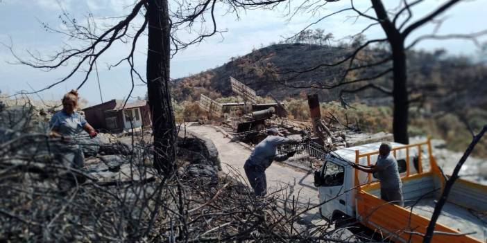 Bodrum Belediyesi yangın sonrası tehlike oluşturan ağaçlara müdahale etti