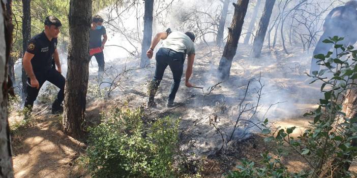 Sultangazi'de orman yangını