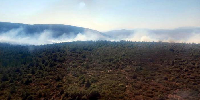 Çeşme'de orman yangını: Kontrol altına alındı