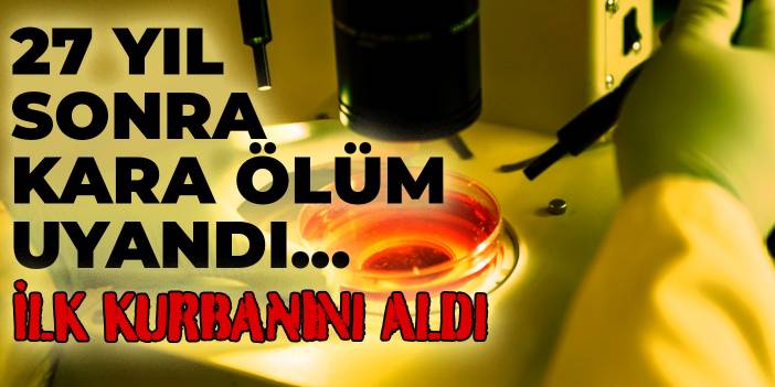 27 yıl sonra kara ölüm uyandı... İlk kurbanını aldı