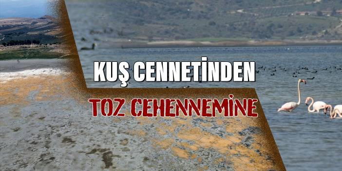 Kuş cennetinden toz cehennemine