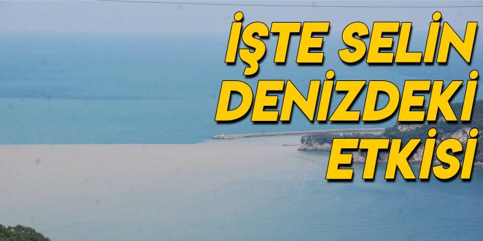 Sel felaketinden sonra Bartın'da deniz çamur rengine döndü