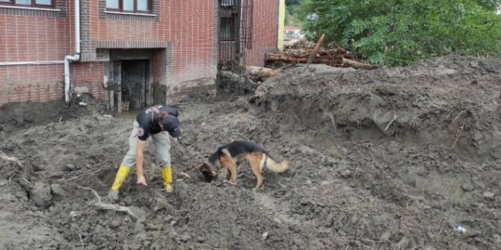 Kastamonu'daki arama çalışmalarına 'kadavra köpekleri' de katıldı