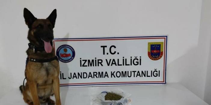 İzmir'de Jandarma'dan uyuşturucu operasyonu: 20 gözaltı