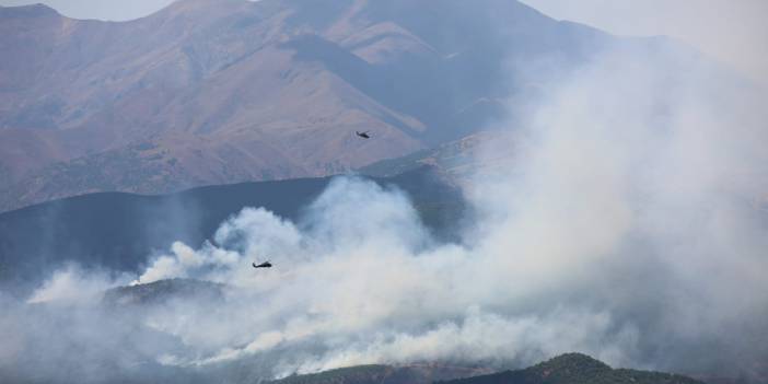 Tunceli'de  çıkan orman yangını büyüyor