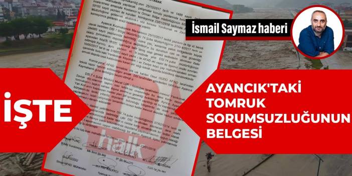 İşte Ayancık'taki tomruk sorumsuzluğunun belgesi