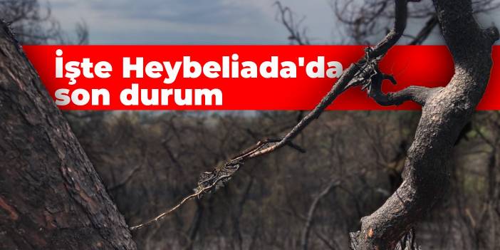 İşte Heybeliada'da son durum