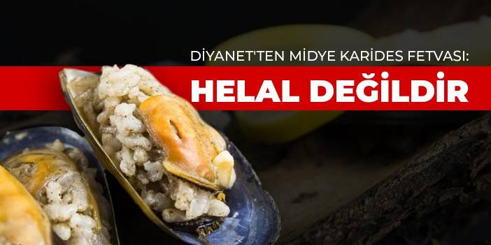 Diyanet'ten midye karides fetvası: Helal değildir