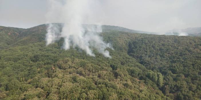 Tunceli'de son durum: 2 helikopter ve 1 uçak la müdahale devam ediyor