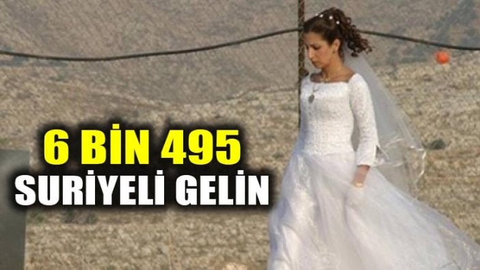 Suriyeli 6 bin 495 gelin, 377 damat