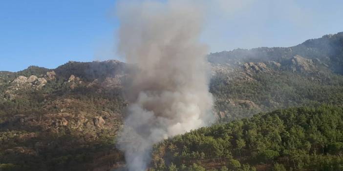 Milas'taki orman yangını, tarım arazilerine sıçradı