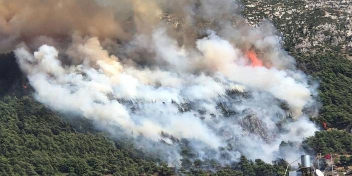 Hatay'da orman yangını büyüyor: Farklı bir noktada daha yangın çıktı