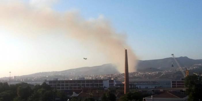 İzmir Karşıyaka'da orman yangını