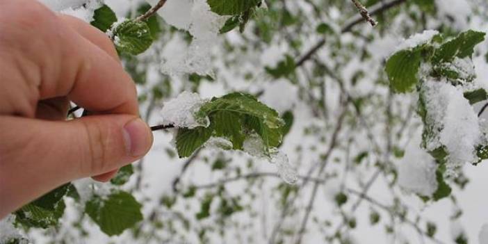 Meteoroloji'den zirai don uyarısı