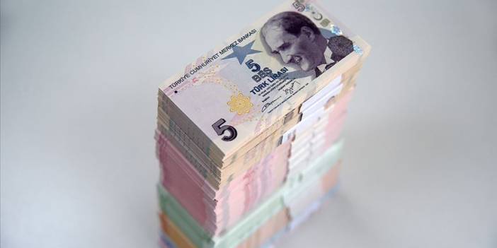 20 TL ve 5 TL'lik banknotlarda değişiklik