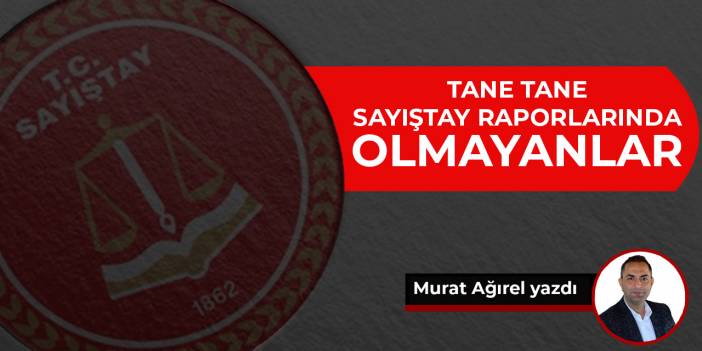 Tane tane Sayıştay raporlarında olmayanlar