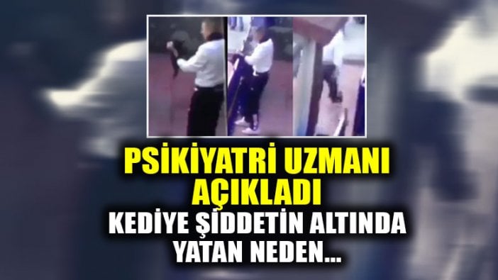 Kediye şiddetin altında yatan neden...