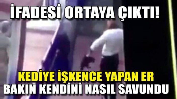 Kediye işkence yapan askerin ifadesi ortaya çıktı!