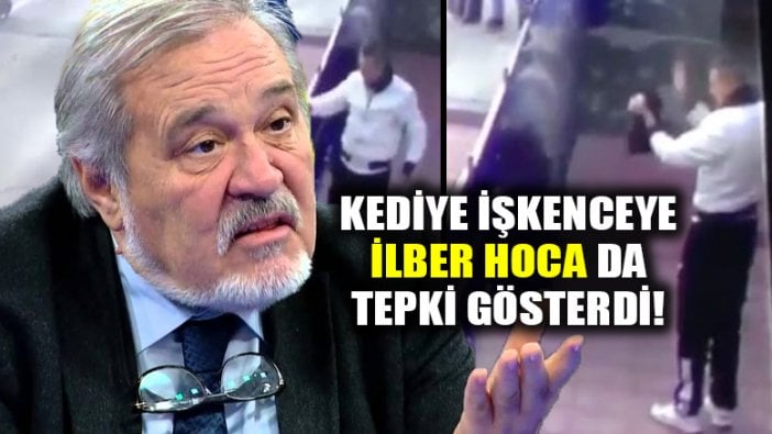 Kediye işkenceye bir tepki de İlber Ortaylı'dan!