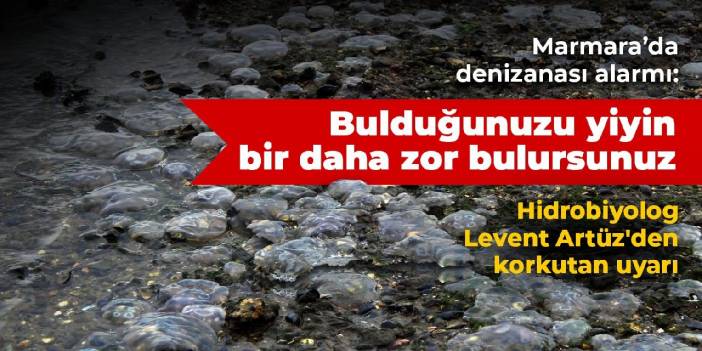 Levent Artüz'den korkutan uyarı: Bulduğunuz balığı yiyin bir daha zor bulursunuz