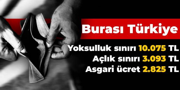 Burası Türkiye: Yoksulluk sınırı 10.075 TL, açlık sınırı 3.093 TL, asgari ücret 2.825 TL