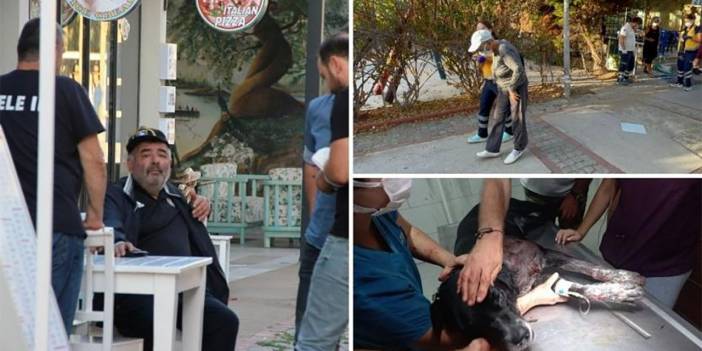 Köpeğin havlamasına sinirlendi dehşet saçtı