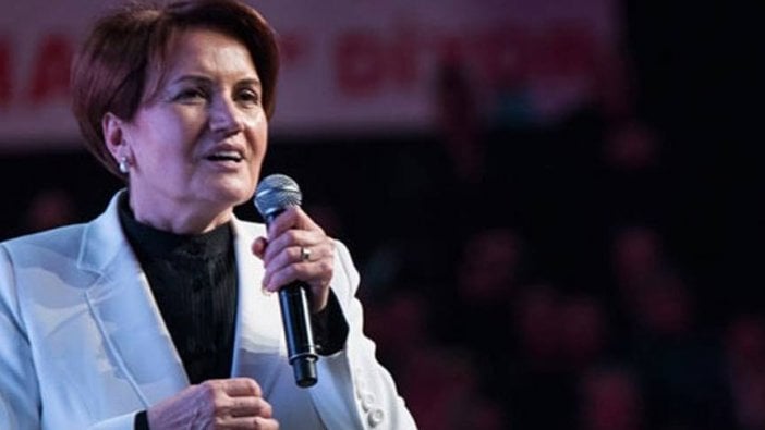 Meral Akşener'in uçağında bir yolcu tedirginliğe sebep oldu!