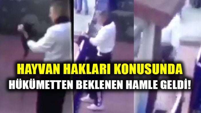 Bakan hayvan hakları için söz verdi, bakalım bu söz tutulacak mı?