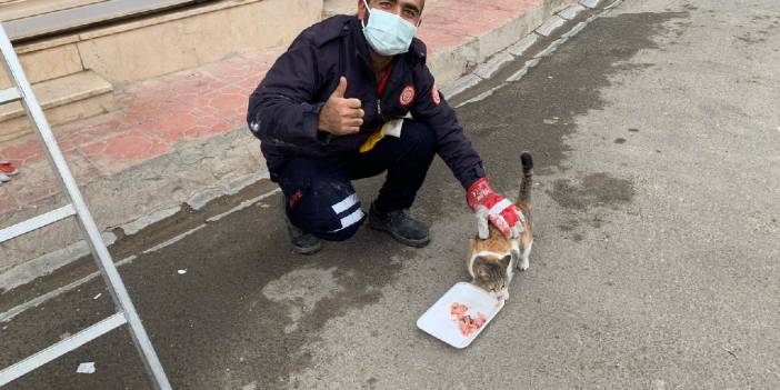 Kepengin üzerinde mahsur kalan kedi kurtarıldı