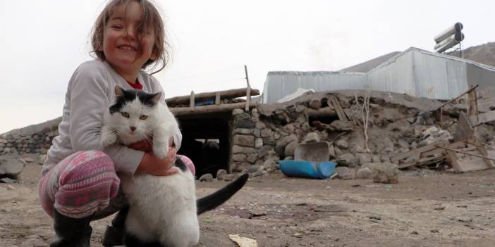 Depremzede Hira, ekmeğini kedilerle paylaştı