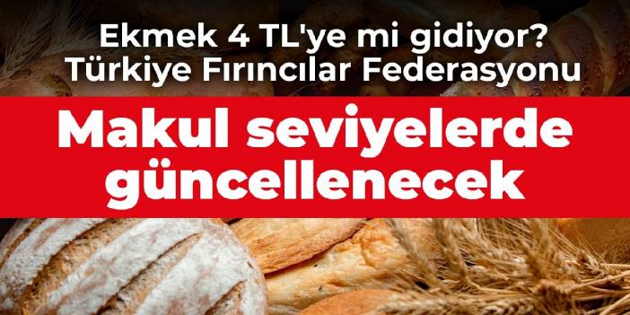 Ekmek 4 TL'ye mi gidiyor? Türkiye Fırıncılar Federasyonu: Makul seviyelerde güncellenecek