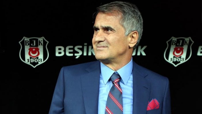 Şenol Güneş: Ülkeme yazık